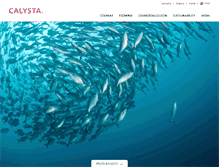 Tablet Screenshot of calysta.com